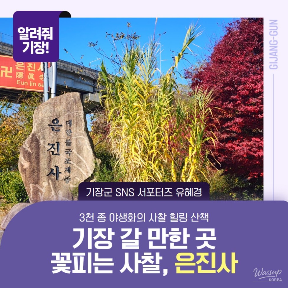 매력적인 사진