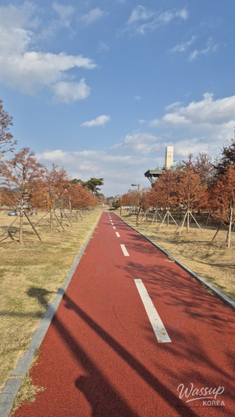 A biker enjoying a slow ride along the scenic lakeside path