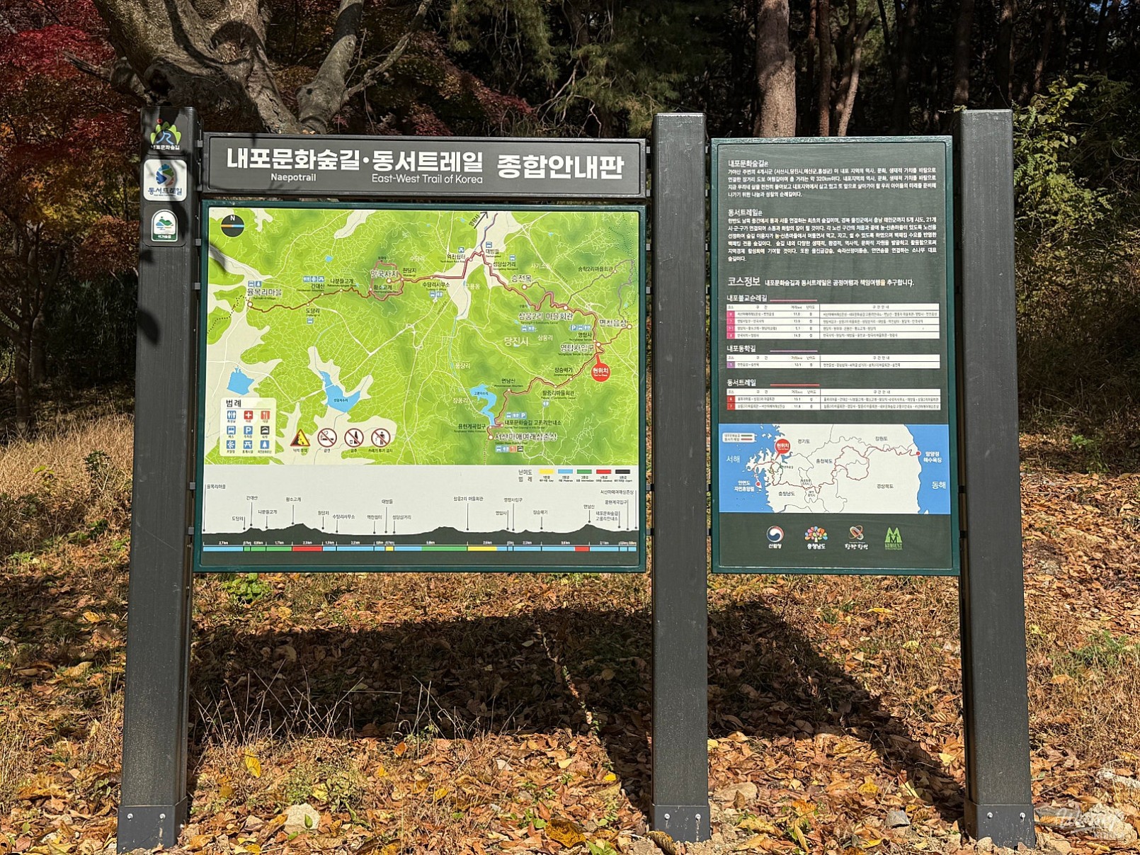 Happy time