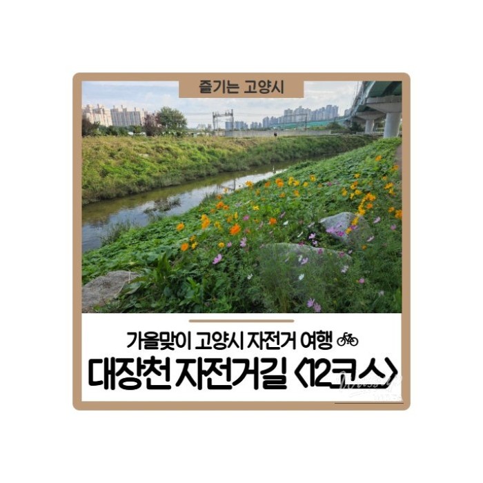 A scenic view of the Daegangcheon bike path winding through lush wetlands and reed fields