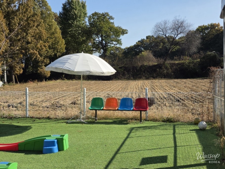 흥미로운 이미지