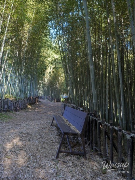 Peaceful scenery