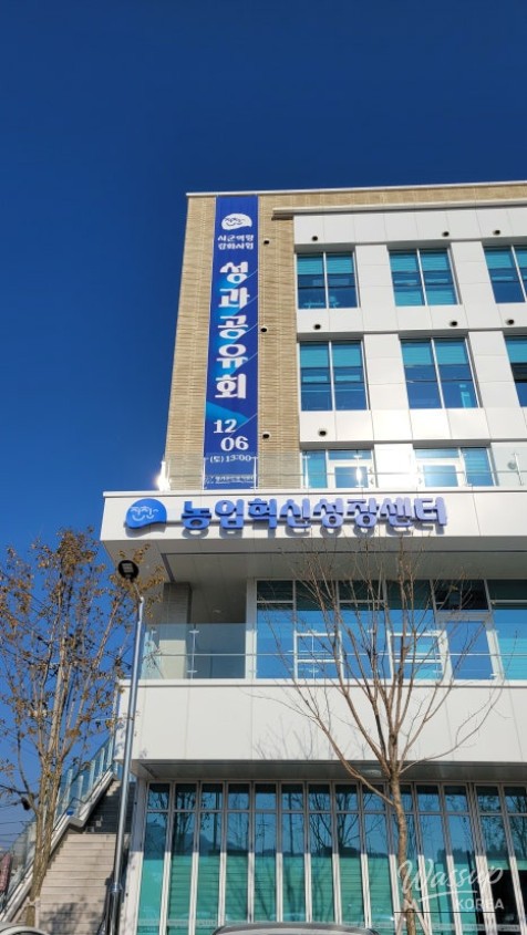 평화로운 풍경