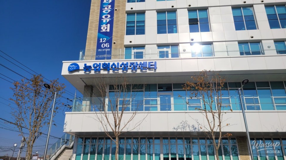 매력적인 사진