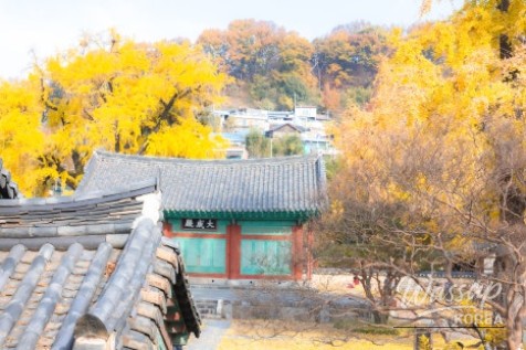 밝은 미래