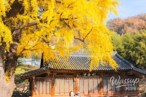 화려한 장면
