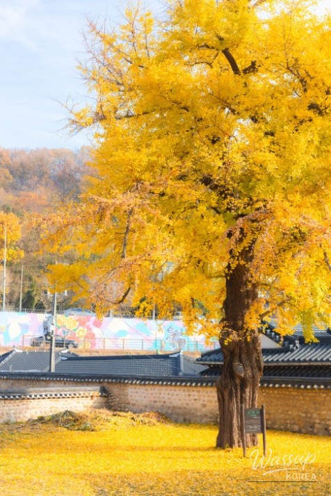 매력적인 사진