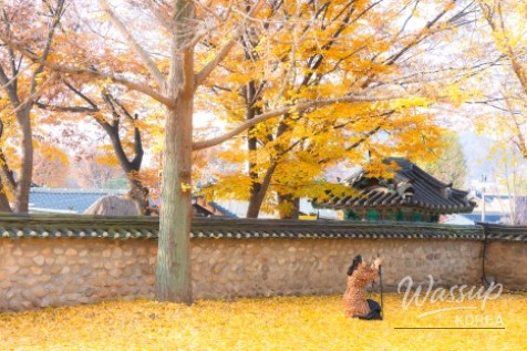 평화로운 풍경