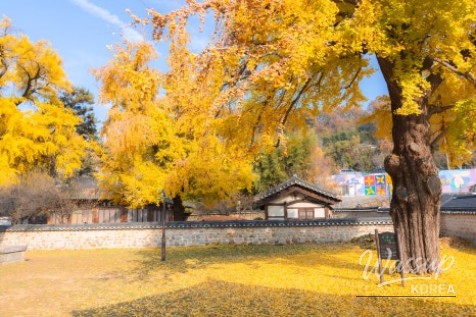 값진 경험