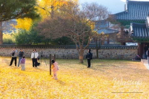 놀라운 광경
