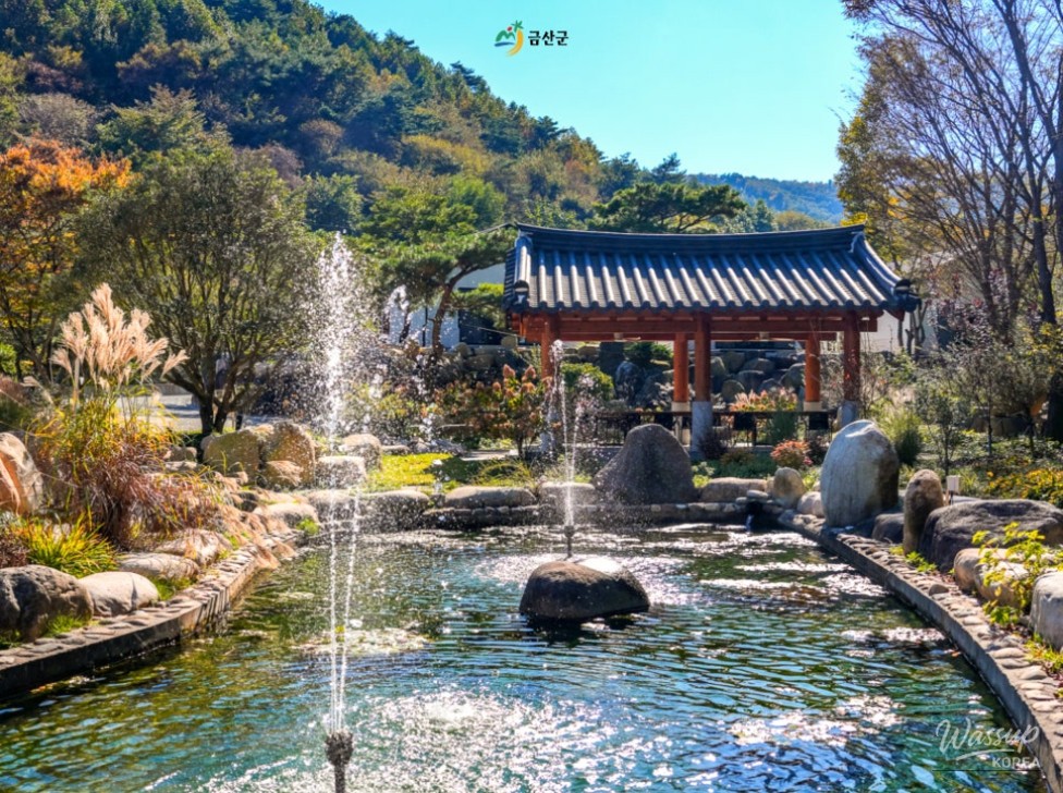 Mysterious appearance