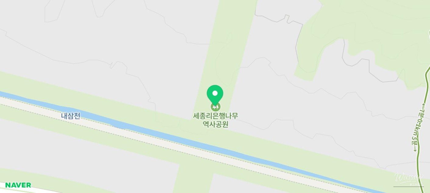 Benches placed under a colorful autumn tree for resting