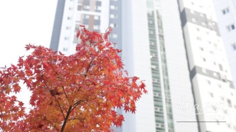 A child running through a park covered in fallen autumn leaves