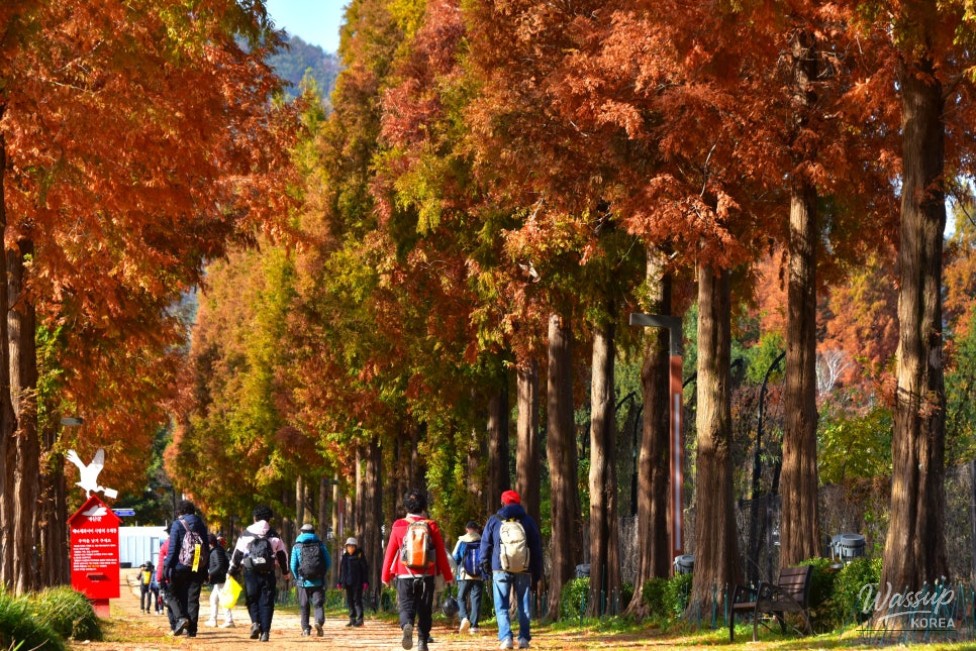 평화로운 풍경