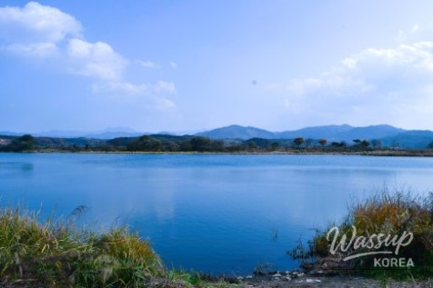 흥미로운 이미지