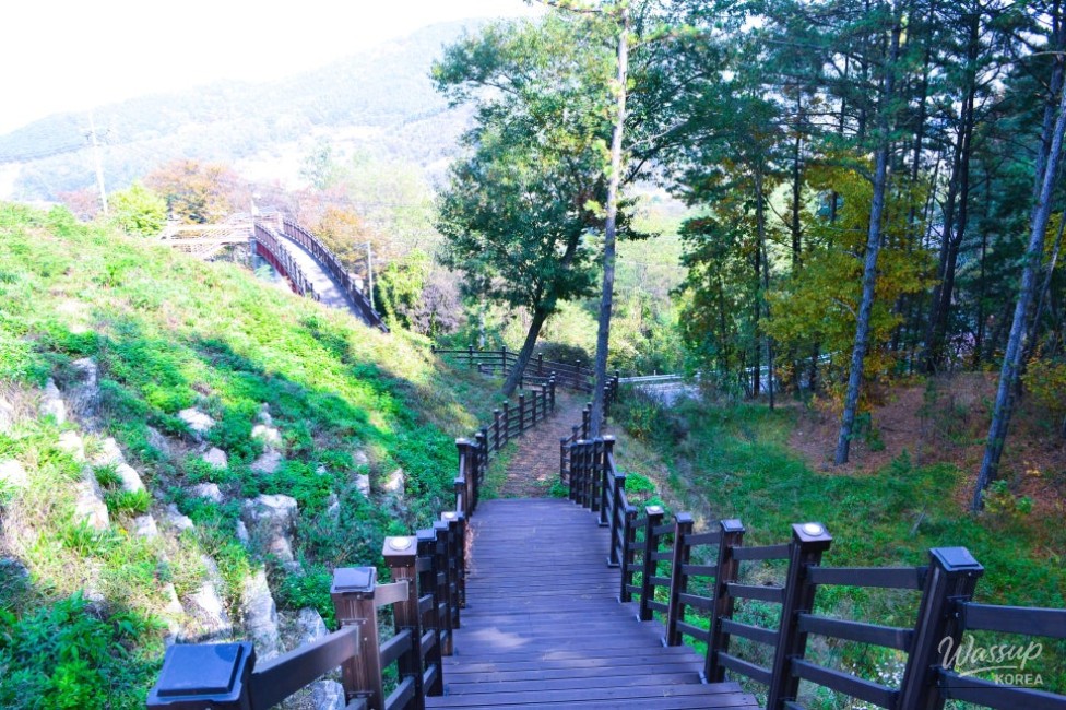 흥미로운 이미지