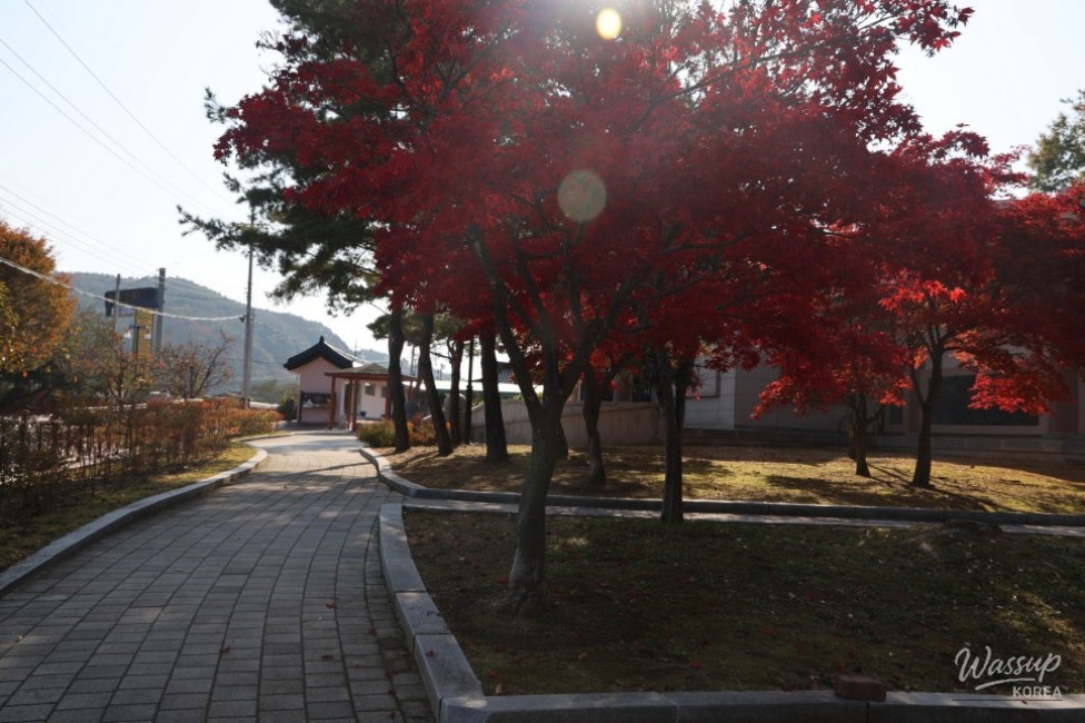 흥미로운 이미지