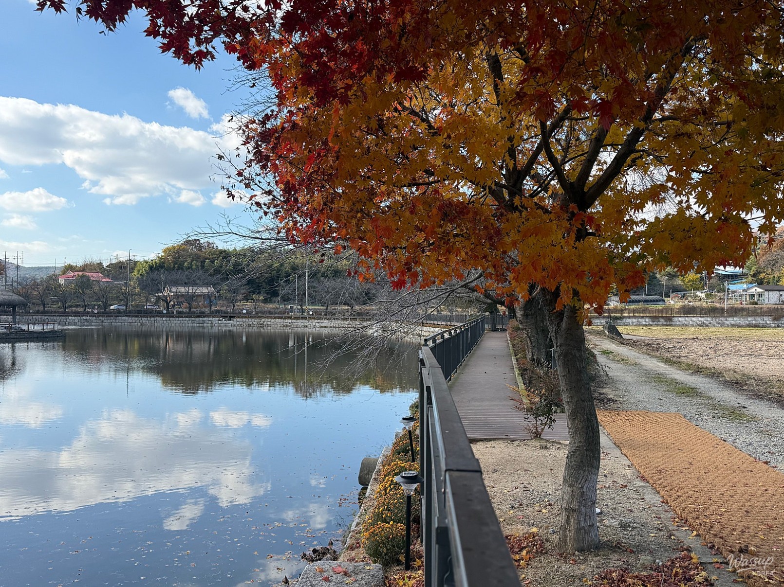 평화로운 풍경