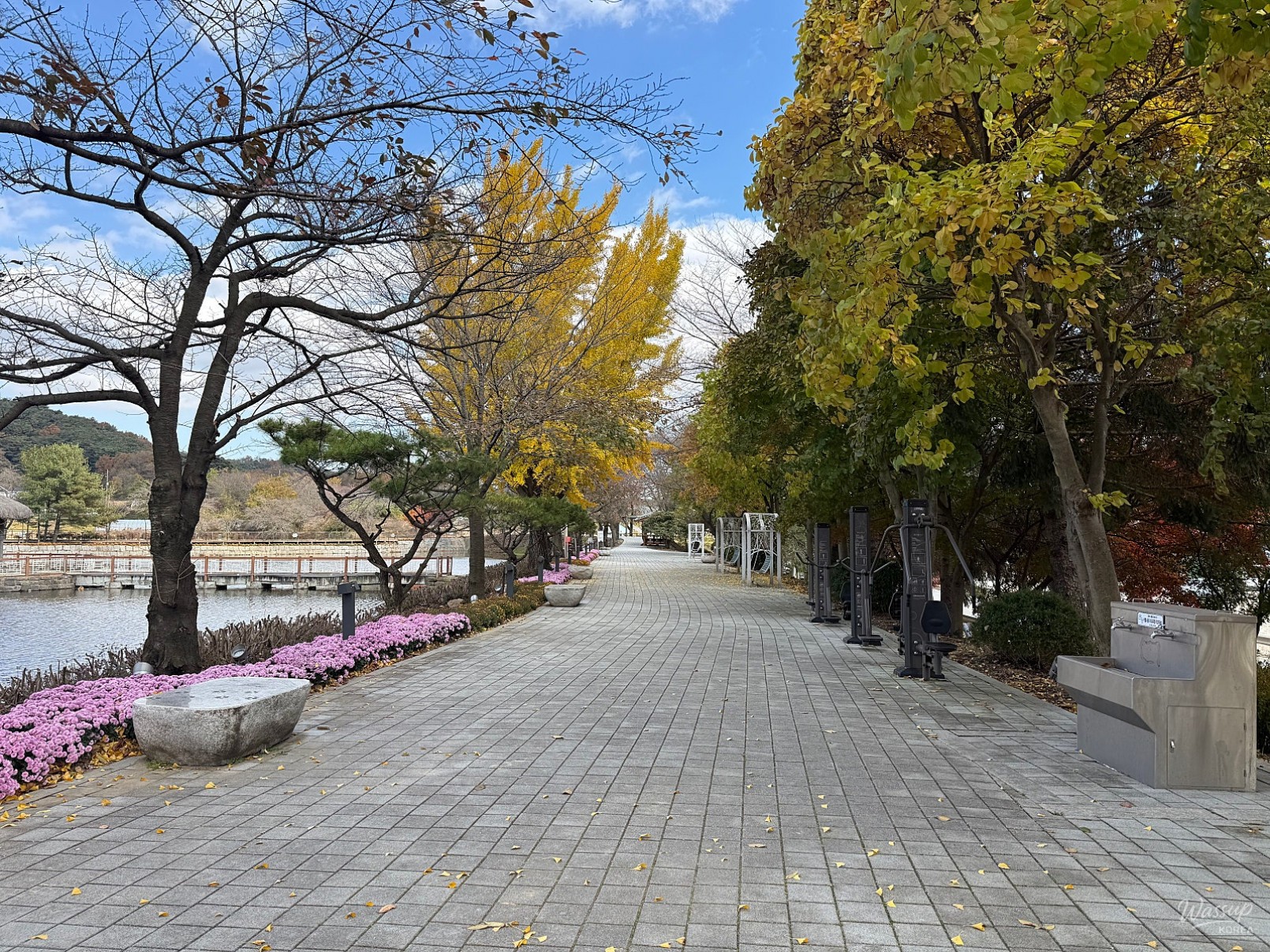 평화로운 풍경