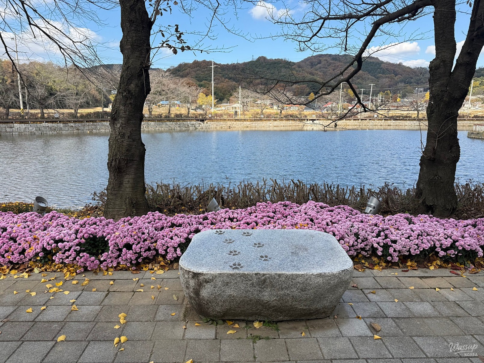 매력적인 사진