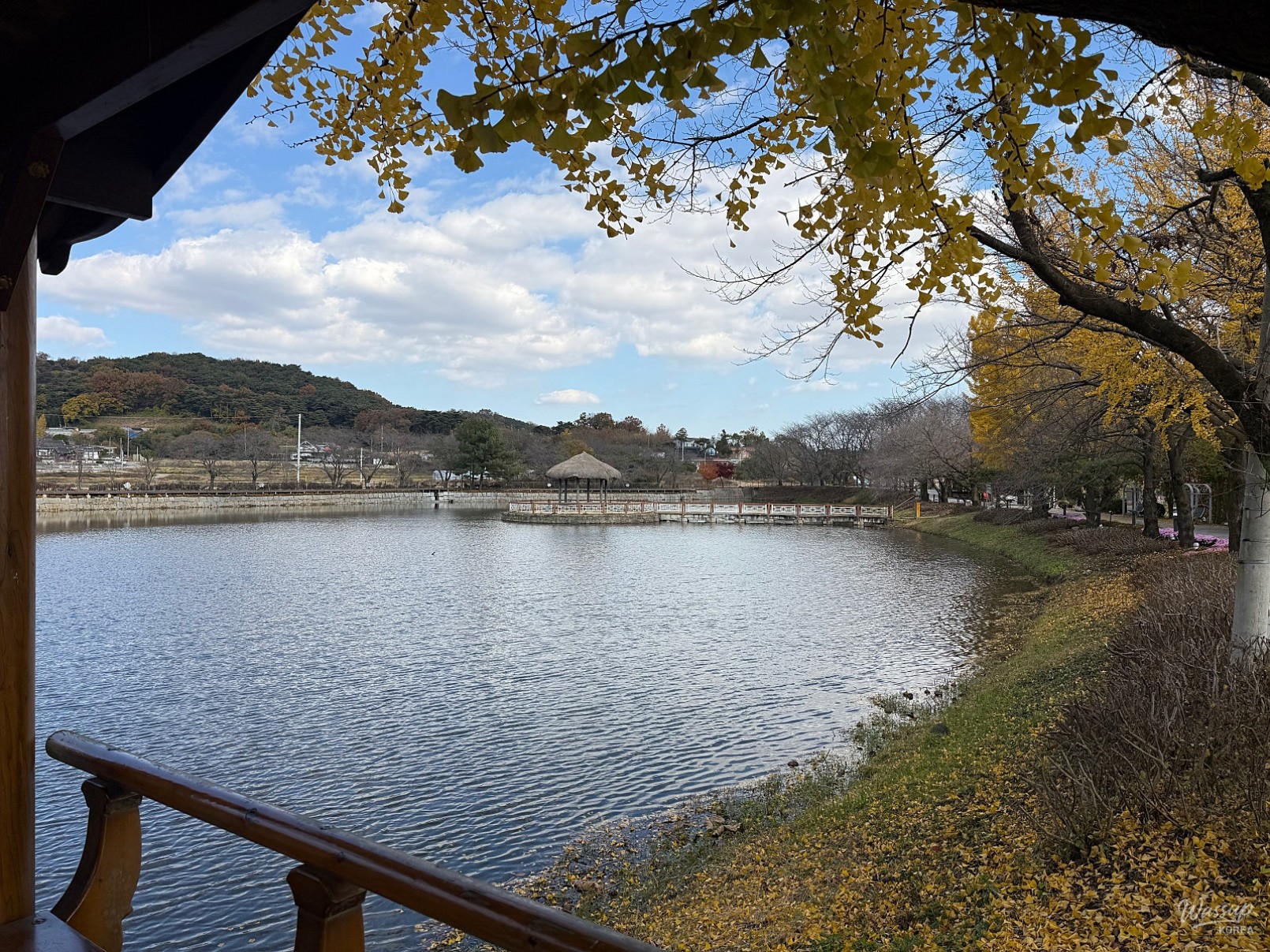 놀라운 광경