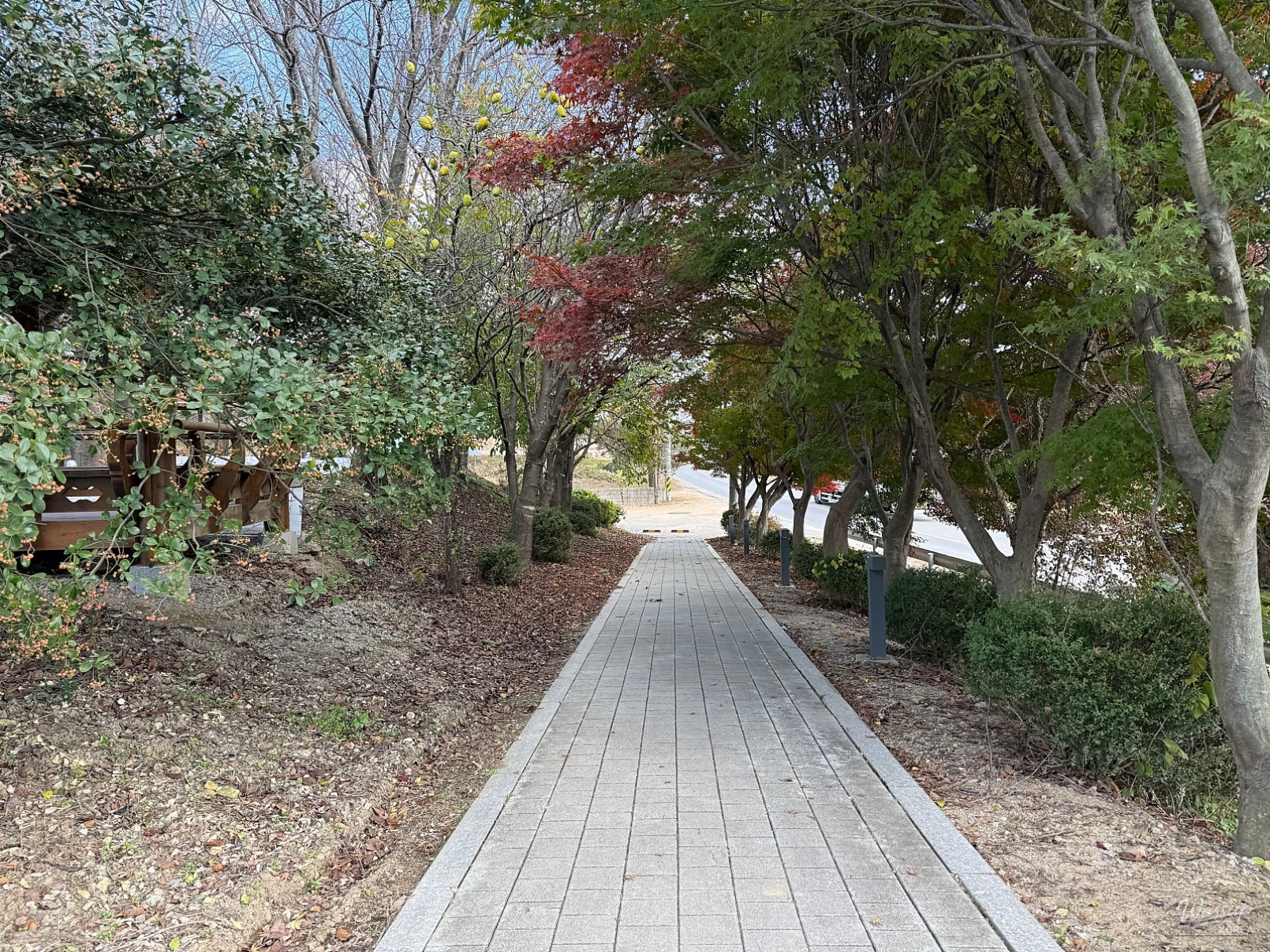 화려한 장면