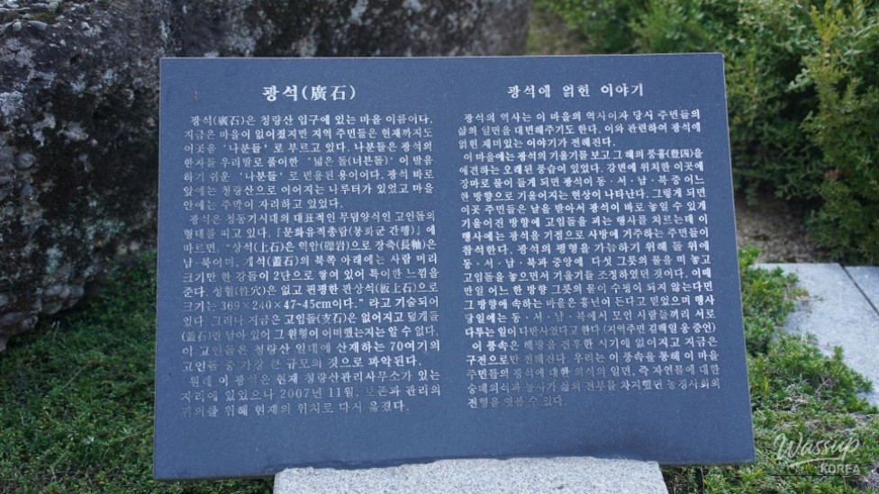 흥미로운 이미지