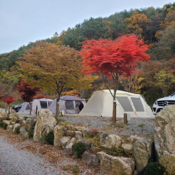Discovering Danyang's Best Camping Spots for a Relaxing Autumn Getaway831