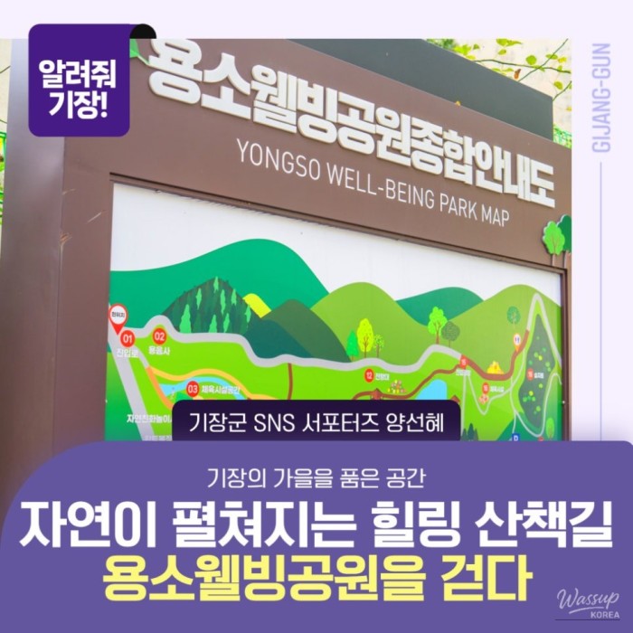 Autumn Getaway: A Visit to Gijang Yongso Well-being Park422