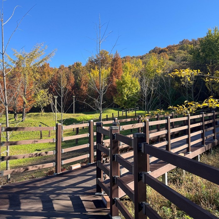 Discover the Autumn Colors at Wonsusan Mountain in Sejong City196