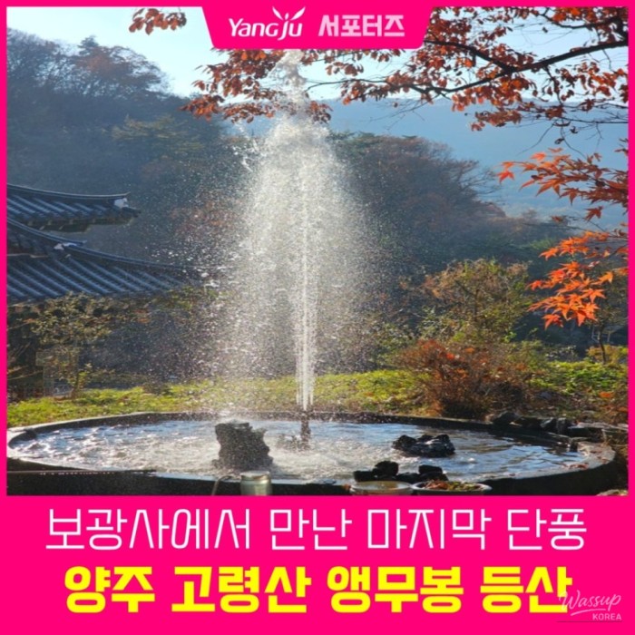 Hiking the Parrot Peak Course at Goryeong Mountain: A Farewell to Autumn Foliage417
