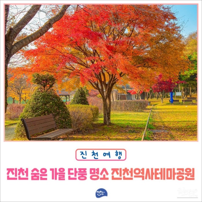Enjoying the Last of Autumn's Colors at Jincheon History Theme Park852