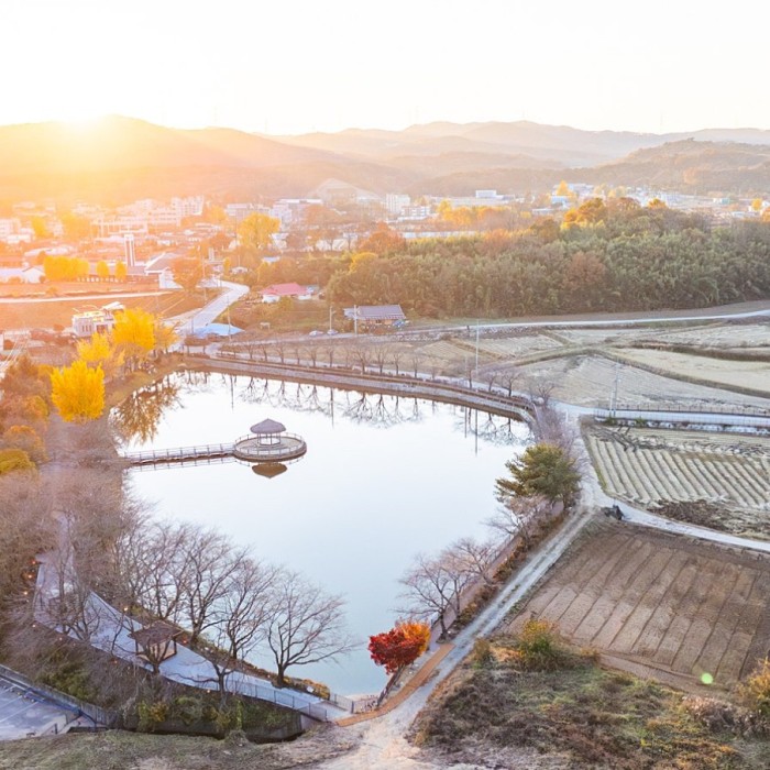 Goljeongji Reservoir: A Perfect Late Autumn Night Stroll in Dangjin862