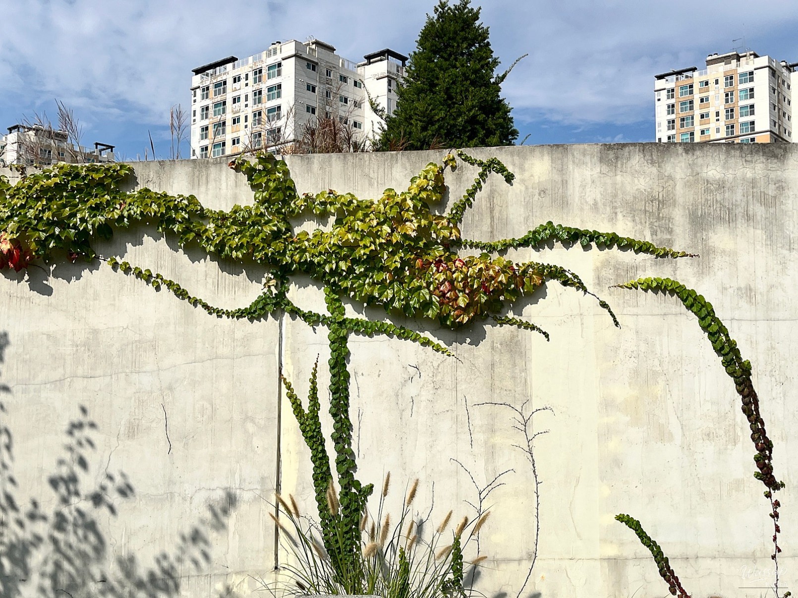 Hopeful tomorrow showing the connection point between two different office buildings