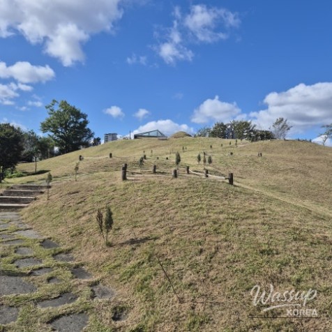 Mysterious appearance of the wooden deck pathways through the ancient tomb complex