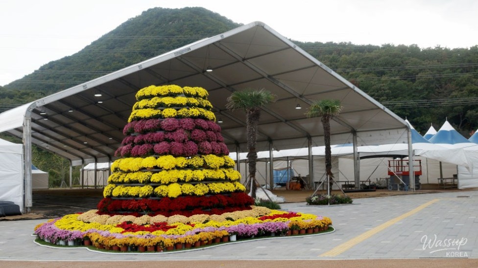 Mysterious Appearance