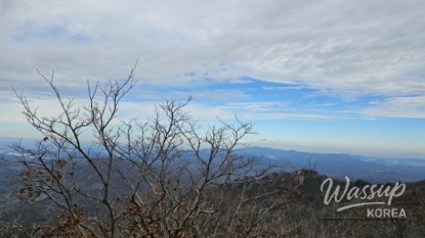 Close-up of fallen autumn leaves on the rocky stairs