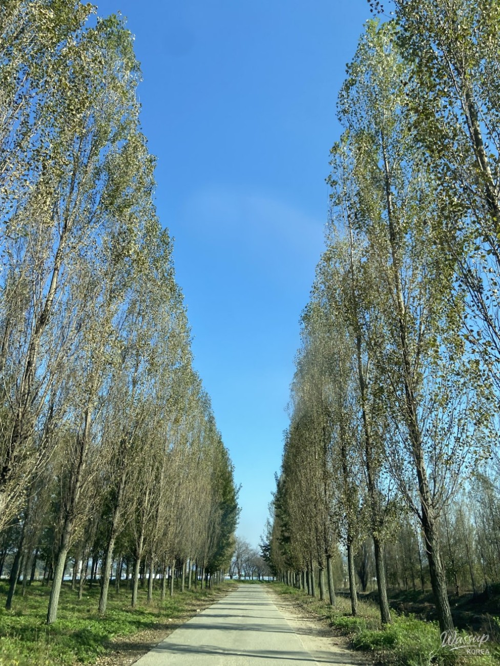 Peaceful landscape
