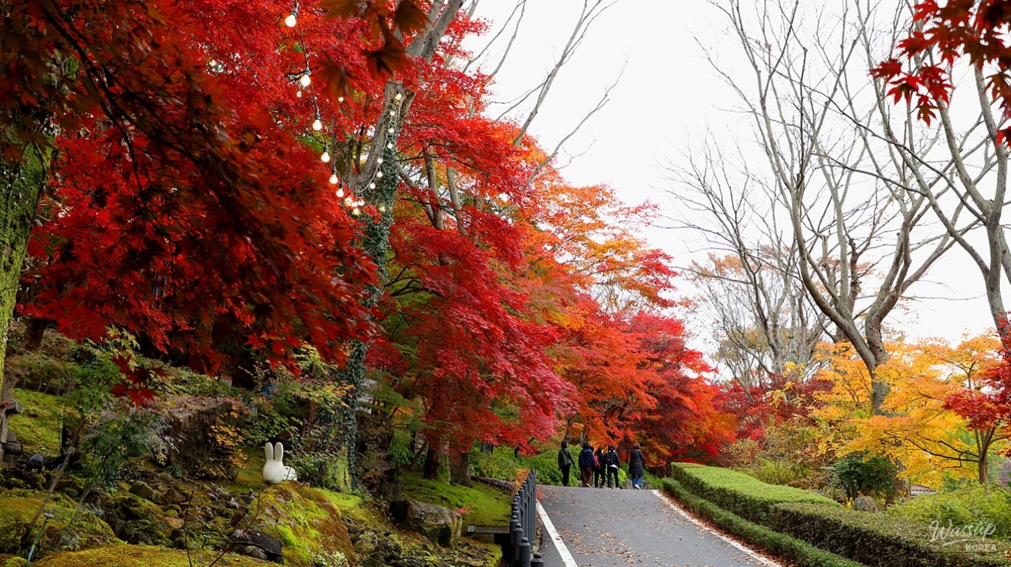 A scenic view of the Songpa Pavilion and the surrounding colorful forest