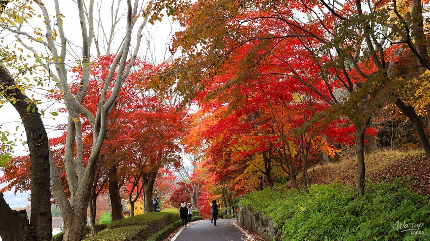 Details of the unique rock formations and trees in the Mangyeongbiwon greenhouse