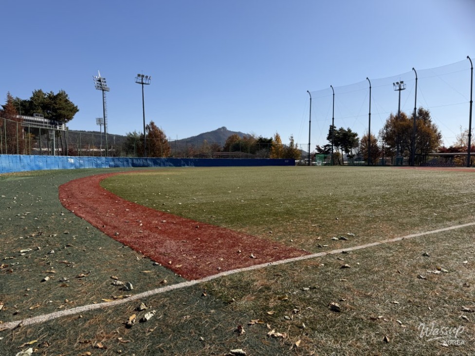 흥미로운 이미지