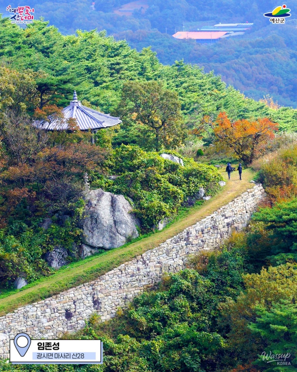 Impressive Appearance