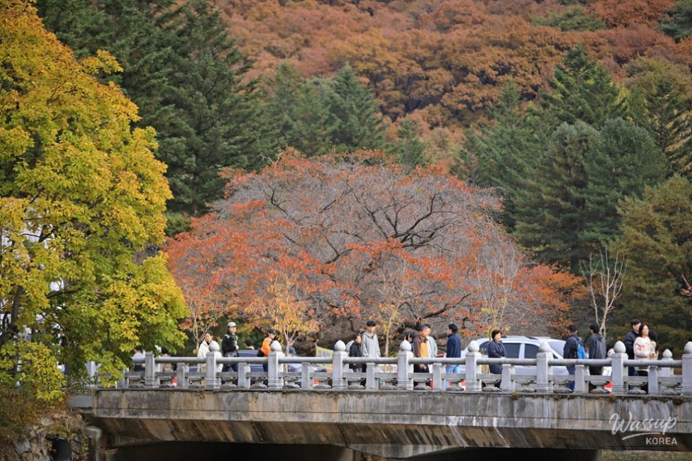 Mysterious appearance