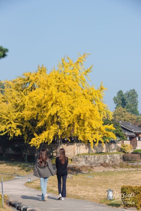 Impressive appearance