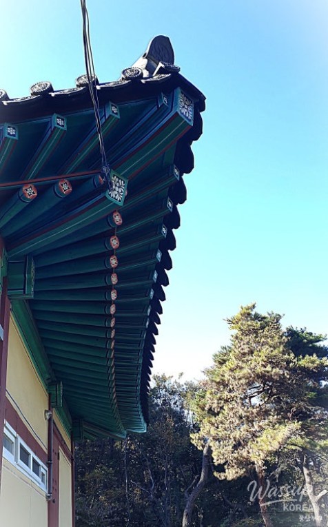 Impressive Appearance