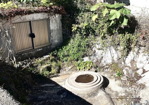 Mysterious Appearance