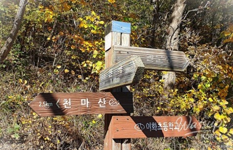 Mysterious Appearance