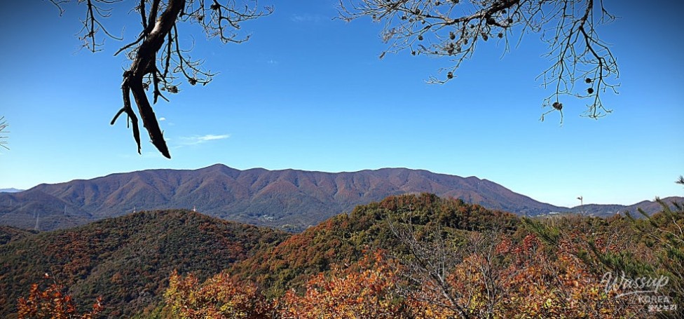 Mysterious Appearance