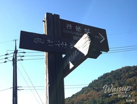 Mysterious Appearance