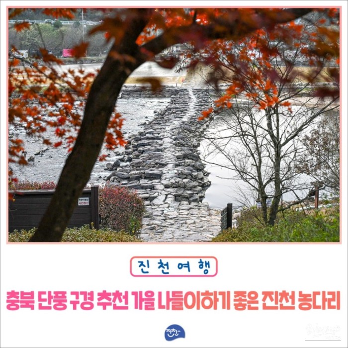 Autumn Foliage at Nongdari Bridge in Jincheon870